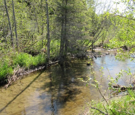 Pigeon River Headwaters Conservation Area
