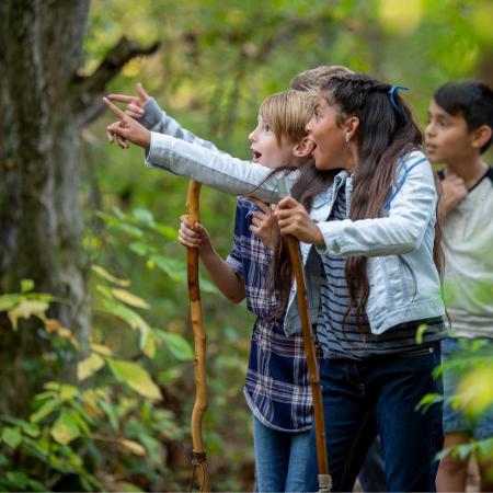 Group of children pointing at something in the forest