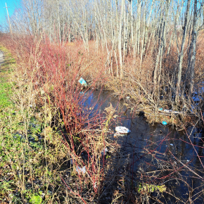 Litter in a creek