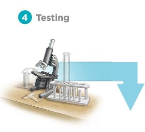 Trust the Tap Source Water protection graphic of testing