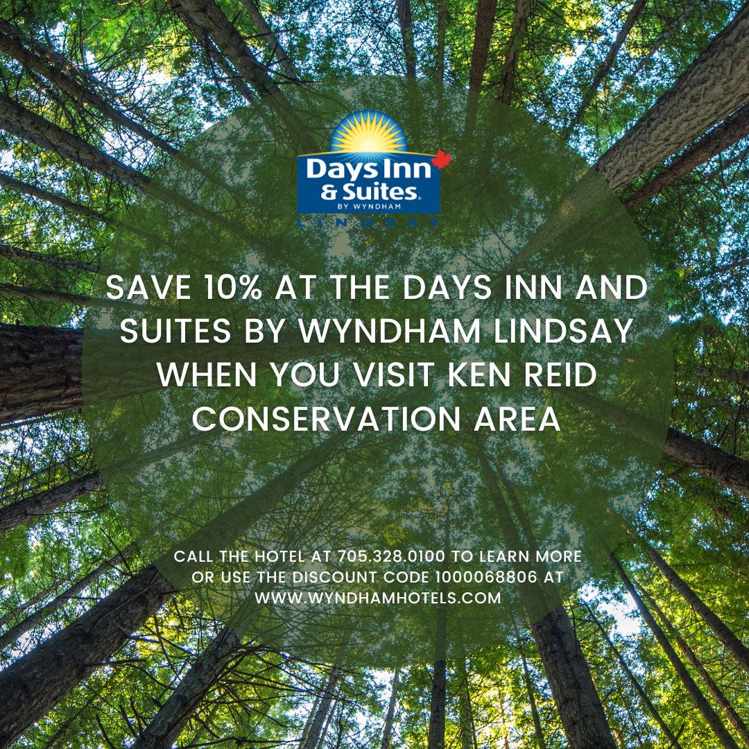 Days Inn and Suites Lindsay Logo with a group of trees and a discount code