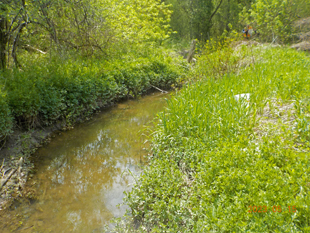 Green creek flows from left to right