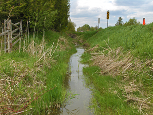 Creek flowing along a roadside ditch