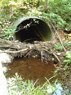 partially blocked culvert