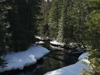 Fleetwood Creek Natural Area