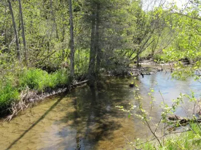 Pigeon River Headwaters Conservation Area